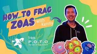 Kenny from Pieces of the Ocean shows us how he frags zoas (zoanthids)