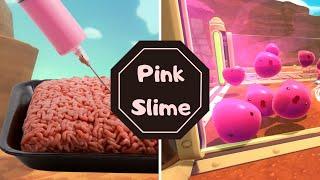 10 Facts about SLIME RANCHER you didn't know