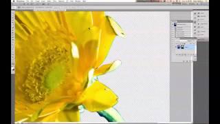 Clipping Paths: EP 218: Digital Photography 1 on 1