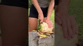 BEST Coconut Breakfast  #camping #survival #bushcraft #outdoors