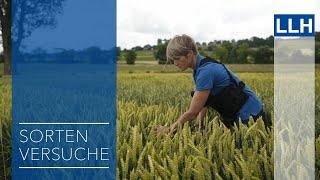 Landessortenversuche für eine vielfältige und nachhaltige Landwirtschaft