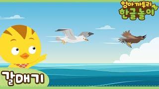 * Seagull * | Learn Animals Name in Korean | Katuri | Learn Korean | Learn Animals