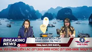 Ngụy Vũ: Chửi khai trí bà Hằng lựu đạn và hội bợ đỡ Phố Bosa - Triết lý, xã hội, nhân cách, MXH