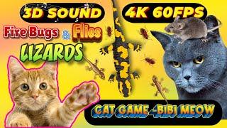 CAT GAMES TOM TV & BiBi | Ultimate Compilation Catching The LIZARDS , Flies, FireBugs11 HOURVol 65