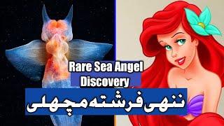 Rare Video of Sea Angel By Alexander Semenov’s II Urdu Subtitle