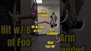 Muay Thai Basic Teep Technique Breakdown  #muaythai #kickboxing