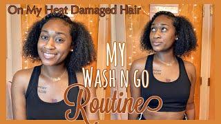 WASH N GO ROUTINE FOR HEAT DAMAGED HAIR