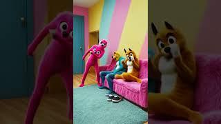 Fluffy Gets Pranked Back – Payback Time for the Mischief Pup!