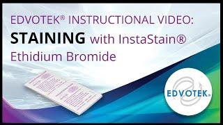 InstaStain® Ethidium Bromide - Edvotek Video Tutorial