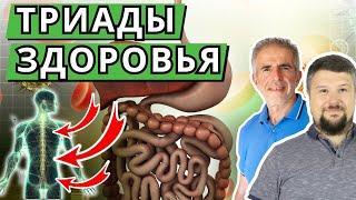 Триады здоровья - 3 компонента и их взаимосвязь. Как сочетаются процессы в теле.