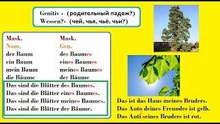 немецкий /родительный падеж в немецком языке на примерах