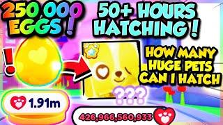 *50 HOURS* HATCHING GOLD VALENTINES EGG in Pet Simulator X!! (Roblox)