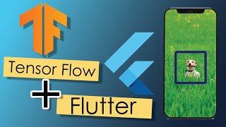 Flutter TensorFlow lite | Basic Setup | Object Recognition | MobleNetSSD