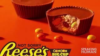 AdWatch: Reeses / Not Sorry - Decisions