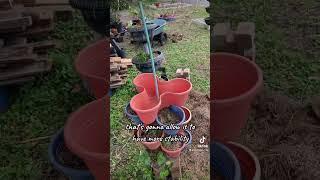 The best way to use Dollar Tree stacking planters