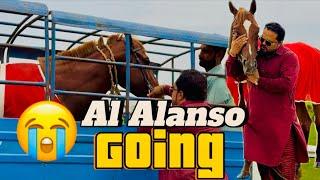 Alanso horse going hospital pressure gun payodine apply on lions(mian saqib)