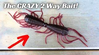 What is this Crazy 2 Way Bait? Does It Catch Bass?