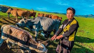 Morning of Mongol NOMADERS! How do the descendants of Genghis Khan live? Country life.ASMR. MONGOLIA