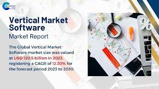 Vertical Market Software Market Report 2024 (Global Edition)