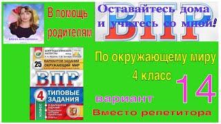 ВПР 2022 по окружающему миру в 4 классе. Разбор заданий 14 варианта.