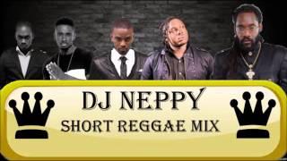 dj neppy reggae mix