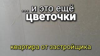 Квартира от застройщика с РЕМОНТОМ. Стоит ли брать? Наглядный пример. Ремонт квартир.