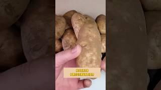 Amish Potato Preservation Hack Will Blow Your Mind!  #shorts