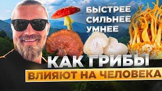 УМНЕЕ/СИЛЬНЕЕ/БЫСТРЕЕ / Как грибы влияют на человека?!