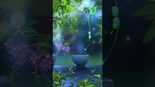 Feel The Music ️ || Nature Video Status || INature Whatsapp Status       #shorts#status#nature