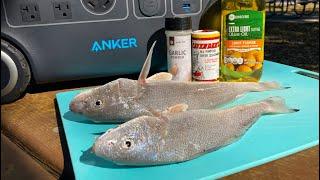 Beach Surf Fishing Catch And Cook Whiting With The Anker Powerhouse 767