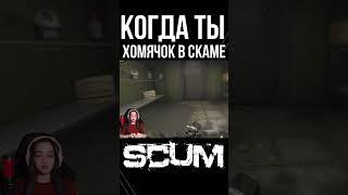 ОСТАНОВИТЕ ЭТОГО ХОМЯКА #scum #pvp #survival #shorts #выживание #stream #lootopening