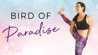 Power Yoga Challenge: Bird of Paradise Tutorial with Julia Marie, 30 Minute Workout for Weight Loss