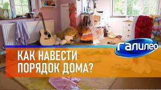 Галилео  Как навести порядок дома?