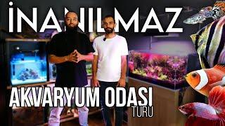 EFSANE AKVARYUM BALIK ODASI TURU! BU TASARIMLARI GÖRMELİSİN!DENİZve SIĞ SUTASARIM | Beta&Lepistes