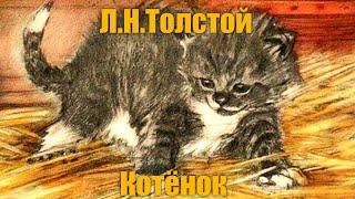 Л. Н. Толстой "Котёнок"