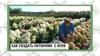 КАК СОЗДАТЬ ПИТОМНИК С НУЛЯ