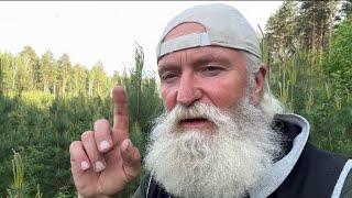 ШИШКИ вместо БАДов! Хвойный концентрат из шишек своими руками