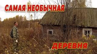 самая необычная заброшенная деревня, странные находки, животные которые не боятся людей