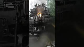 Rain or Shine 1309 will run you over!  Western Maryland #railwayrarities #steamlocomotive #train