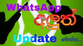 New Update In WhatsApp | 2021 New Privacy Policy Update WhatsApp In Sinhala | WhatsApp Hack Tricks