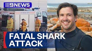 Surfer killed in shark attack in South Australia | 9 News Australia