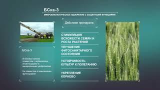 БСКА-3 - Микробиологический препарат комплексного действия с защитными функциями.