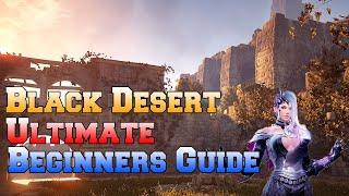 Black Desert PS4: Ultimate Beginners Guide 2020