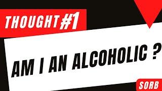 Thought #1: Am I an Alcoholic? School of Rock Bottom: David Schaal.