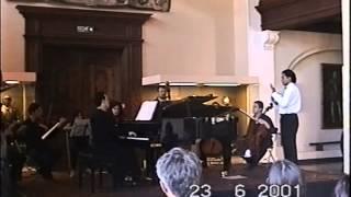 Mozart Concerto N°14 pour Piano Ensemble Instrumental du Léman Frank Rodriguez-Freites