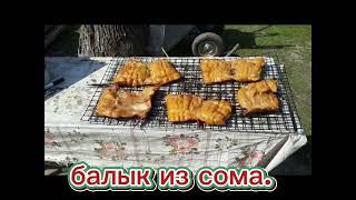 рыбалка/копченный балычок/Астрахань.