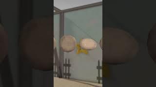 “I can definitely survive squid games in real life.” - Vaner. (SUBSCRIBE FOR MORE VIDEOS!!)