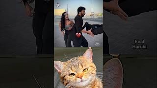 both are confuse  #cat #meme #dance