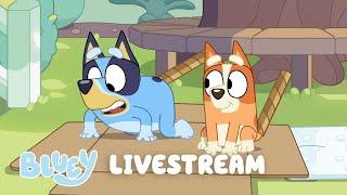 LIVE: Music & Games | Bluey