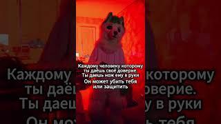 Доверяй но проверяй #курган #grinya #гриня #kurgan #фурри #fox #антифурри #antifurry #walk #furries